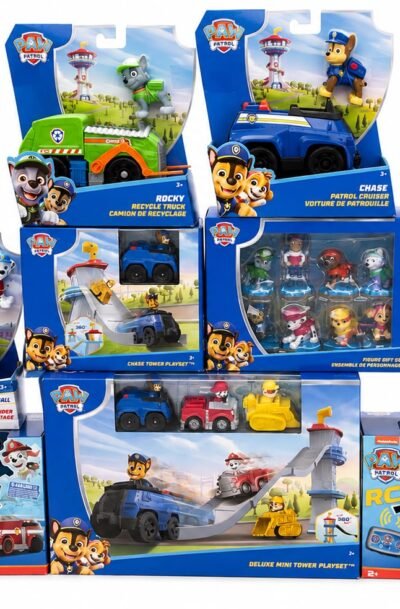 PAQUETE PAW PATROL 10 PIEZAS